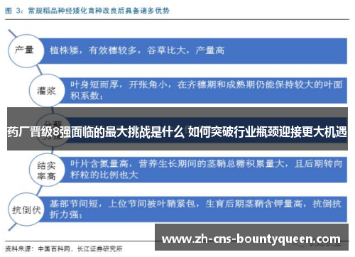 药厂晋级8强面临的最大挑战是什么 如何突破行业瓶颈迎接更大机遇 药厂晋级8强面临的最大挑战是什么 如何突破行业瓶颈迎接更大机遇